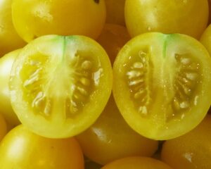 Cherry Round Lemon Yellow Tomato