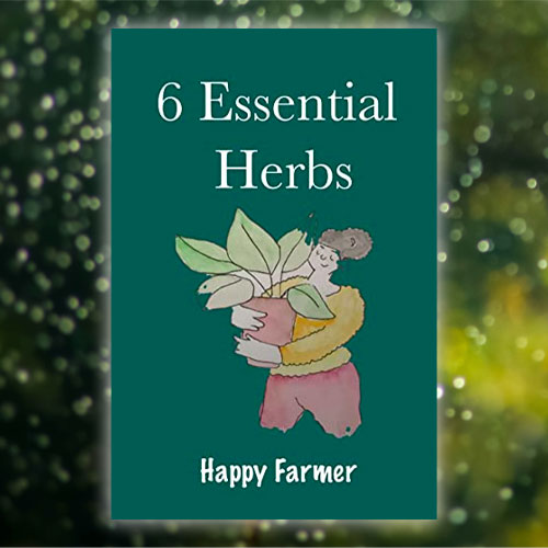 6 essential herbs